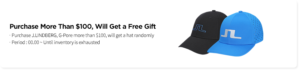 Purchase more than $100, will get a free gift
